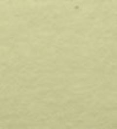 �P�R�g���s�J���O���[��