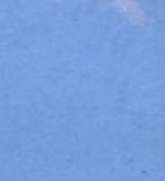 �X�R�o���g�u���[