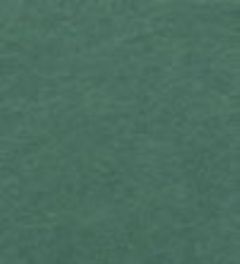 2711-�P�Q�f�B�[�v�O���[��