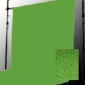 BPS-2705 背景紙 2.72x5.5m #５４スティンガー クロマキーグリーン