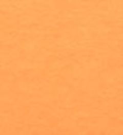 �R�T�C�G���[�I�����W