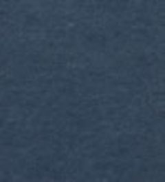 �P�f�B�[�v�u���[