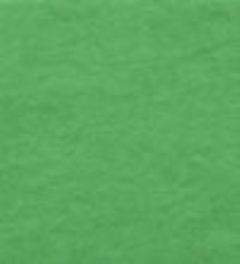 �T�S�X�e�B���K�[