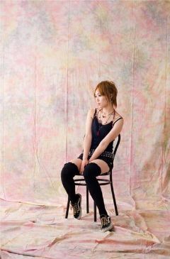 ���X���������z�o�b�N �p�X�e���X�|���W 3x3.6m