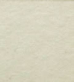 �S�Q�@���[�j���O�~�X�g